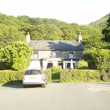 Bed and Breakfast The Dolgoch Bryn-crug Esterno foto