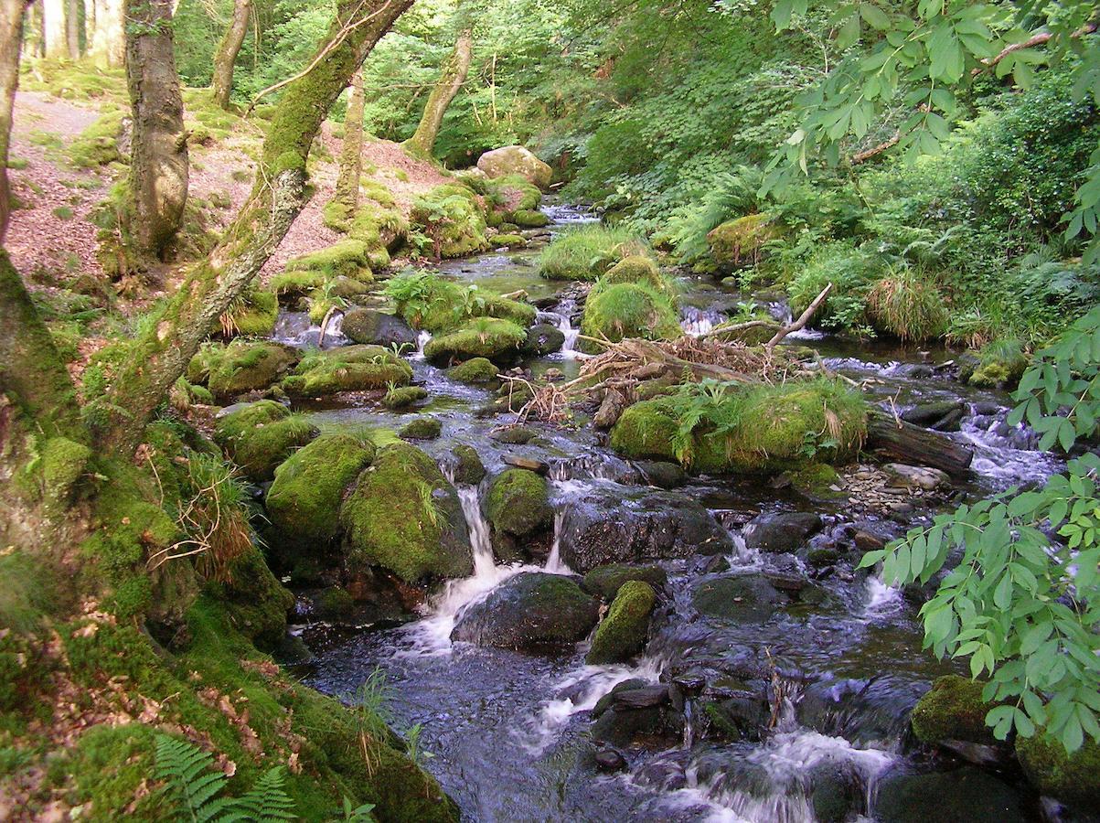 Bed and Breakfast The Dolgoch Bryn-crug Esterno foto