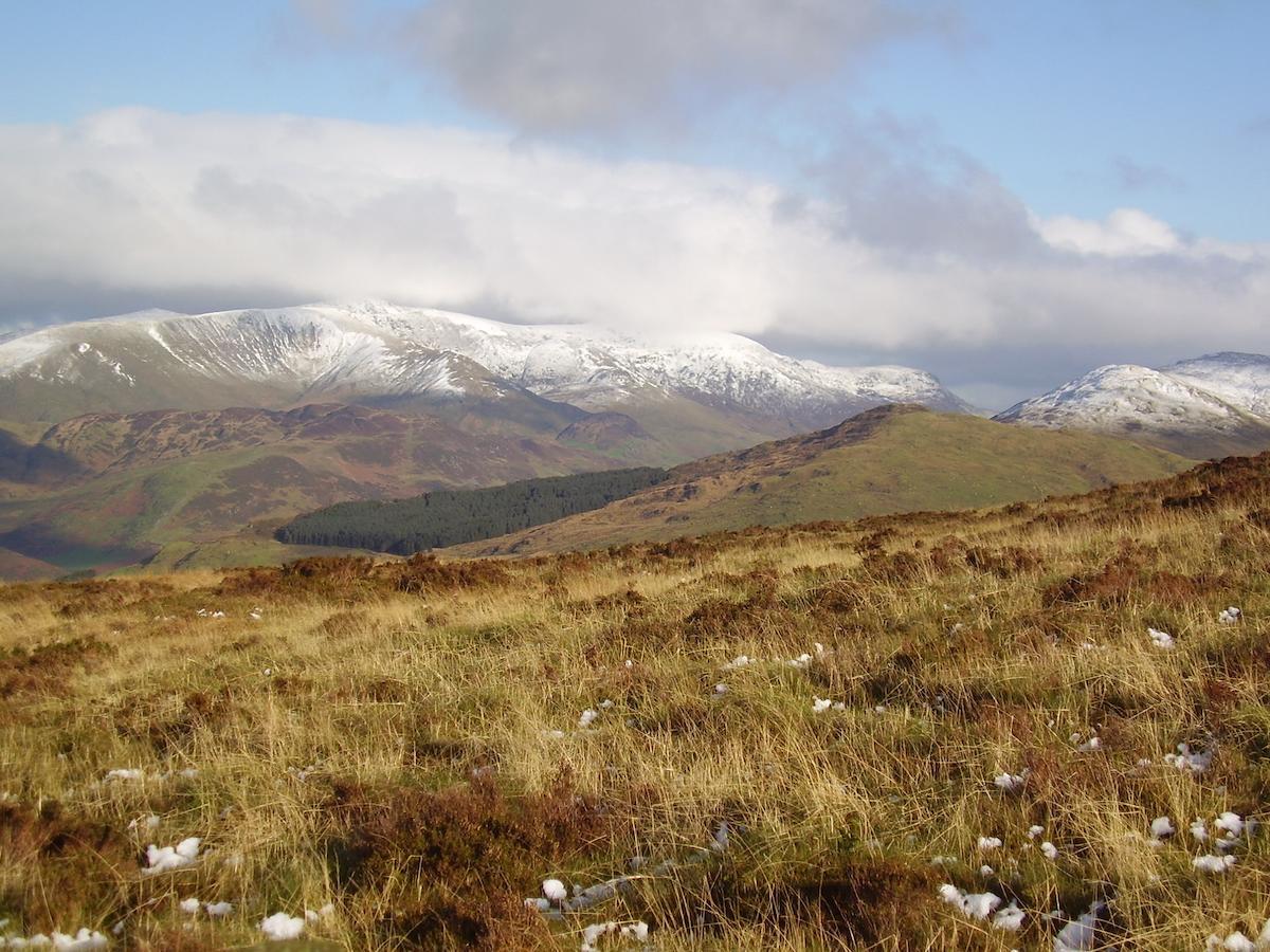 Bed and Breakfast The Dolgoch Bryn-crug Esterno foto
