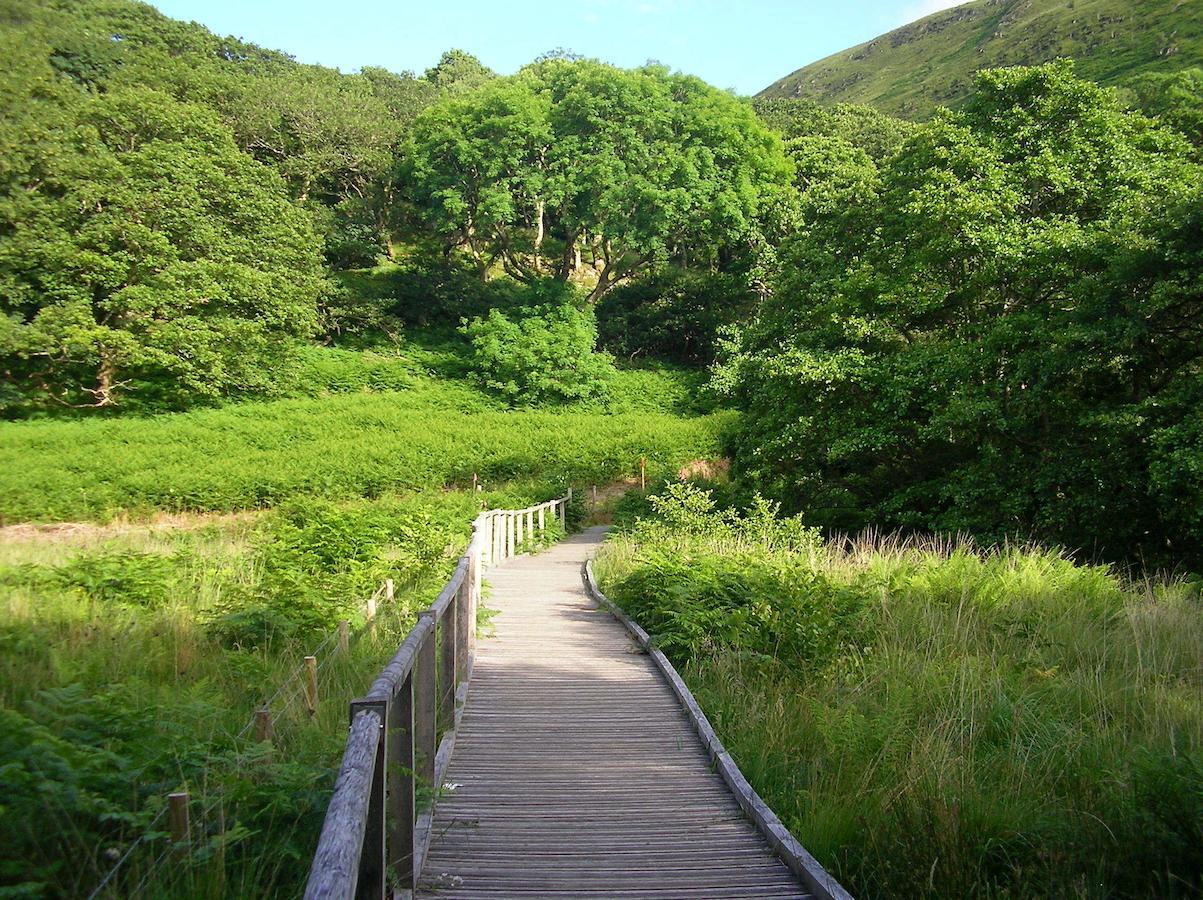 Bed and Breakfast The Dolgoch Bryn-crug Esterno foto